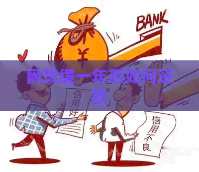 网贷缓一年后如何还款