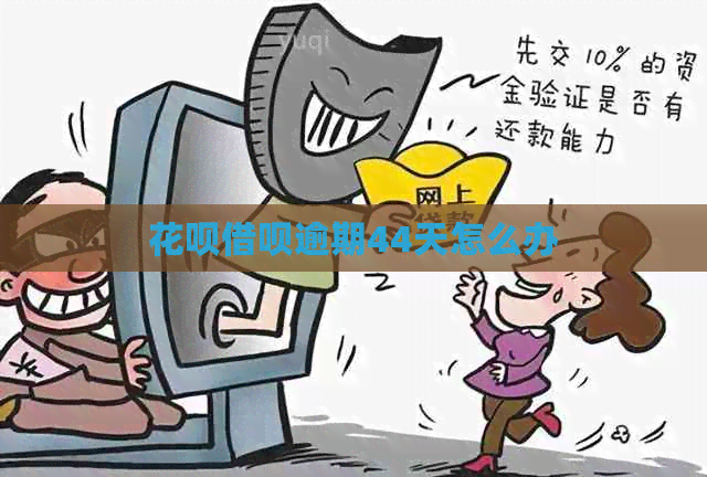 信用卡网贷逾期44天怎么办