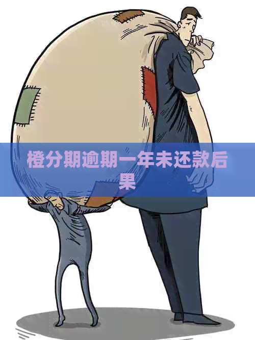 橙分期逾期一年未还款后果