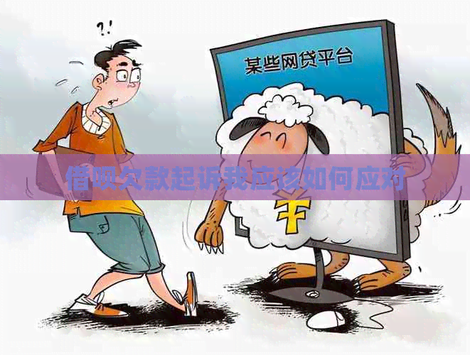 网贷欠款起诉我应该如何应对