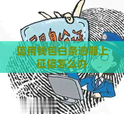 信用钱包白条逾期上怎么办