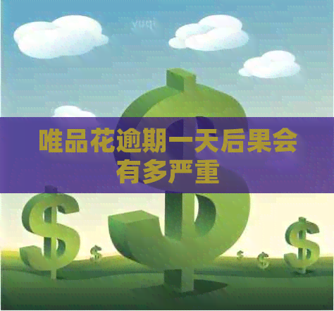 唯品花逾期一天后果会有多严重