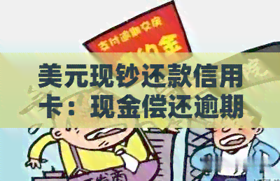 美元现钞还款信用卡：现金偿还逾期知识大揭秘