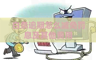 白条逾期怎么减免罚息及其他费用
