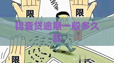 锦囊贷逾期一般多久起