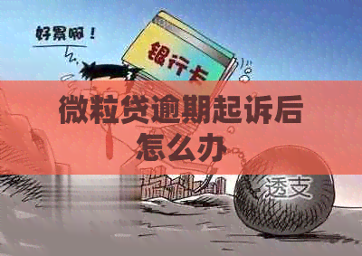 微粒贷逾期起诉后怎么办