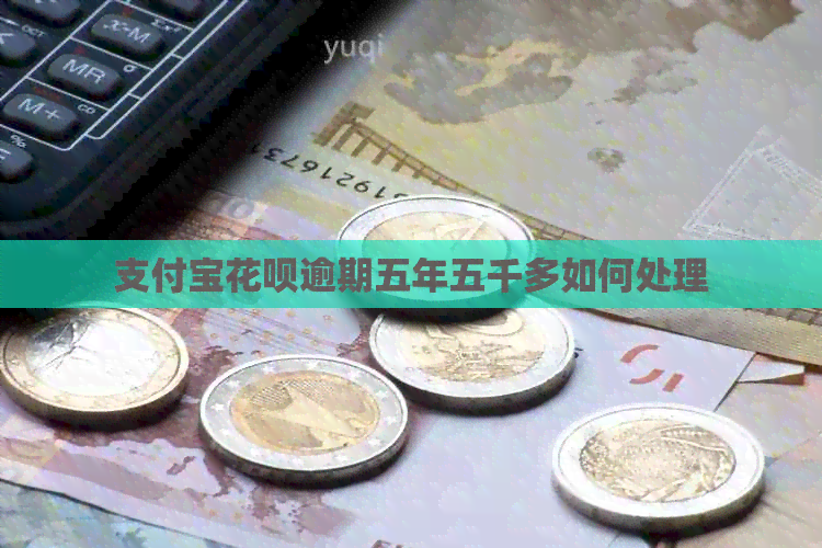 支付宝信用卡逾期五年五千多如何处理