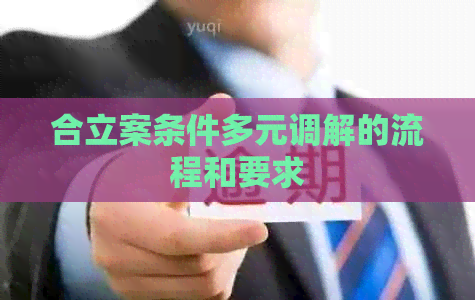合立案条件多元调解的流程和要求
