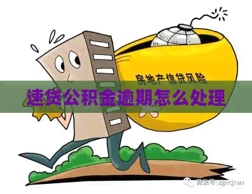 速贷公积金逾期怎么处理