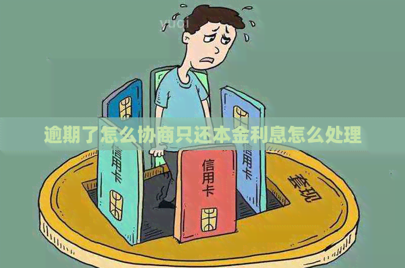 逾期了怎么协商只还本金利息怎么处理