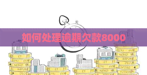 如何处理逾期欠款8000
