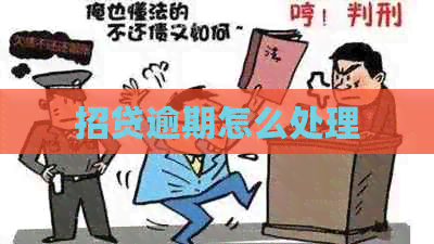 招贷逾期怎么处理