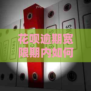 信用卡逾期宽限期内如何处理