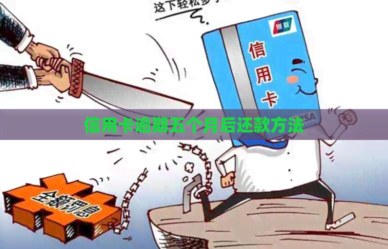 信用卡逾期五个月后还款方法