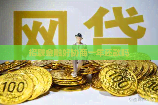 招联金融好协商一年还款吗