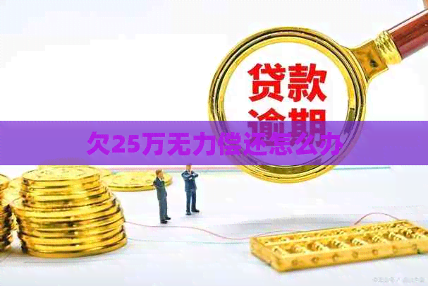 欠25万无力偿还怎么办