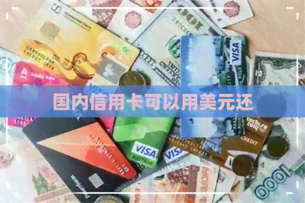 国内信用卡可以用美元还