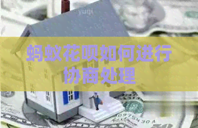 蚂蚁信用卡如何进行协商处理