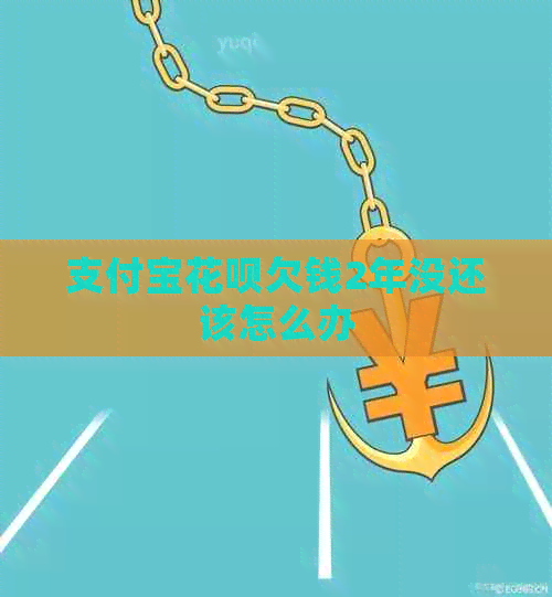 支付宝信用卡欠钱2年没还该怎么办