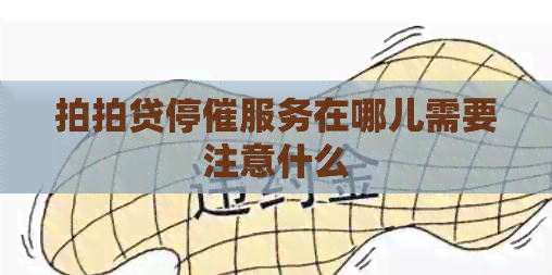 停催服务在哪儿需要注意什么