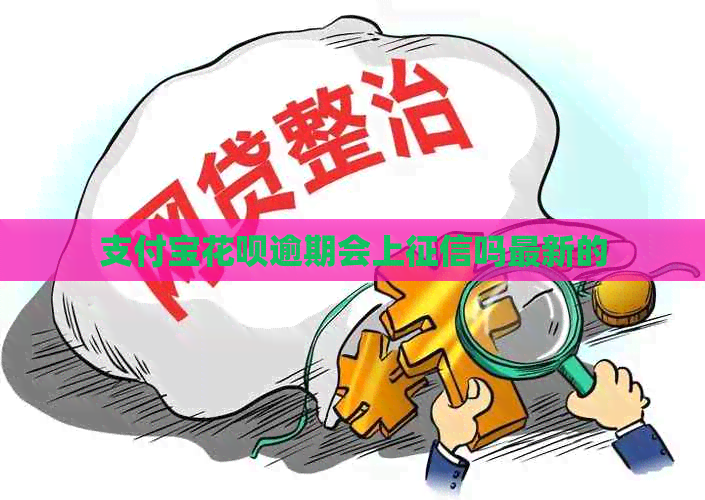支付宝信用卡逾期会上吗最新的