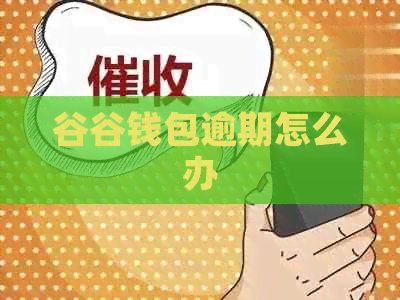 谷谷钱包逾期怎么办