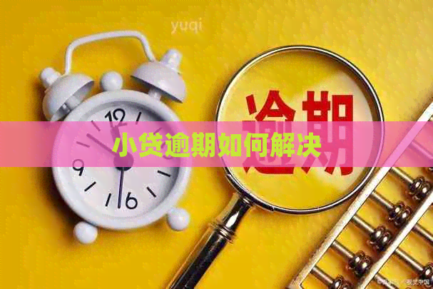 小贷逾期如何解决