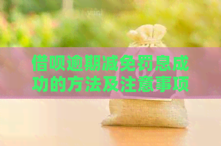 网贷逾期减免罚息成功的方法及注意事项