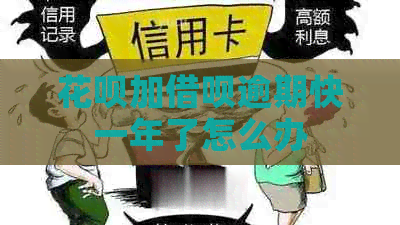 信用卡加网贷逾期快一年了怎么办