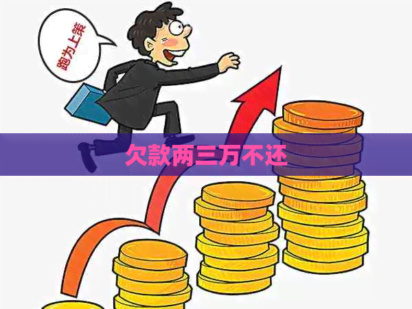 欠款两三万不还