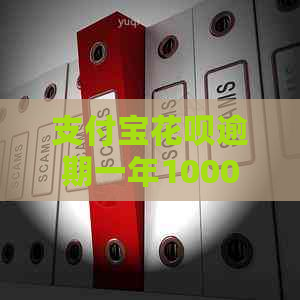 支付宝信用卡逾期一年1000多怎么办