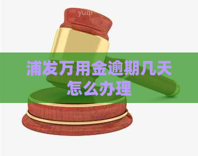 浦发万用金逾期几天怎么办理