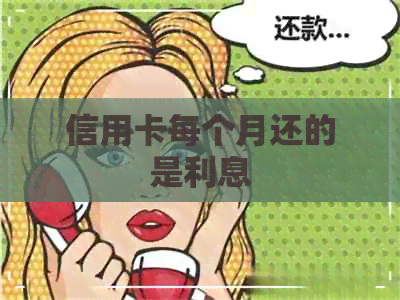 信用卡每个月还的是利息