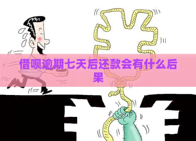 网贷逾期七天后还款会有什么后果