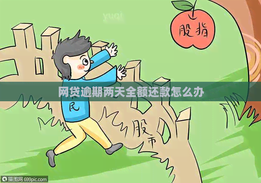 网贷逾期两天全额还款怎么办