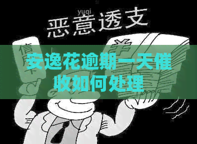 安逸花逾期一天如何处理