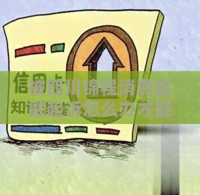 被四川锦程消费金融起诉怎么办才能有效应对