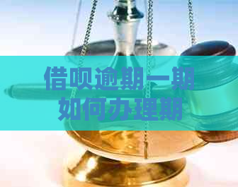 网贷逾期一期如何办理期