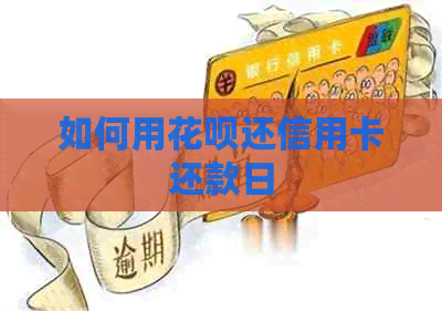 如何用信用卡还信用卡还款日