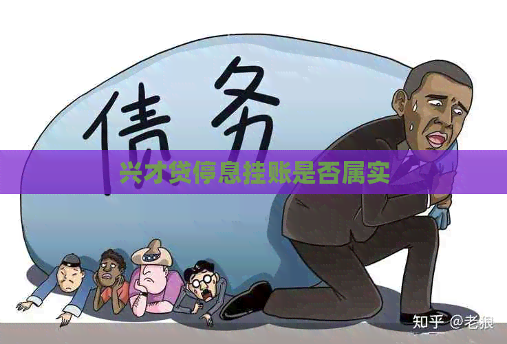 兴才贷停息挂账是否属实