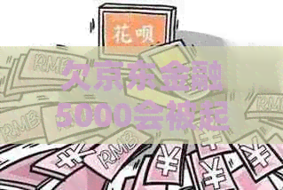 欠京东金融5000会被起诉吗