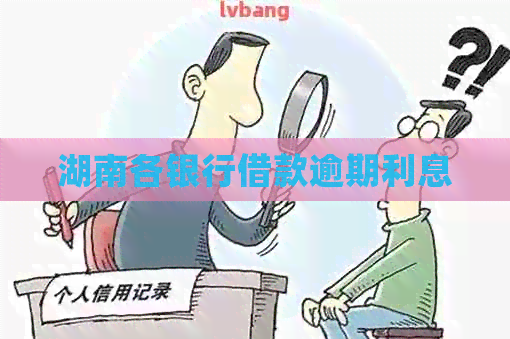 湖南各银行借款逾期利息