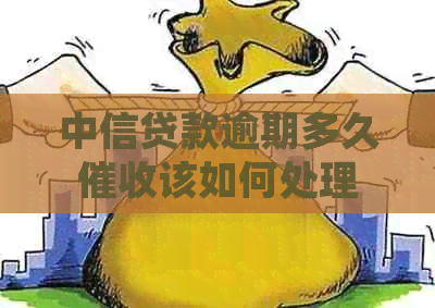 中信贷款逾期多久该如何处理