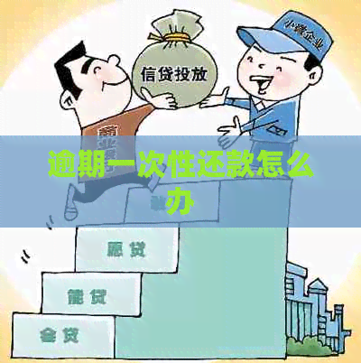 逾期一次性还款怎么办