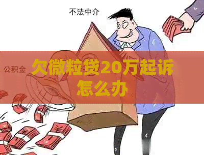 欠微粒贷20万起诉怎么办 欠微粒贷20万起诉怎么办