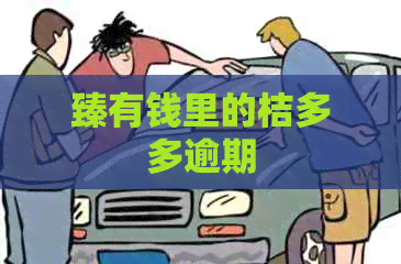 臻有钱里的桔多多逾期