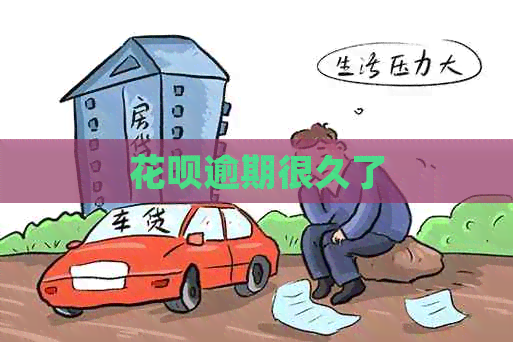 信用卡逾期很久了