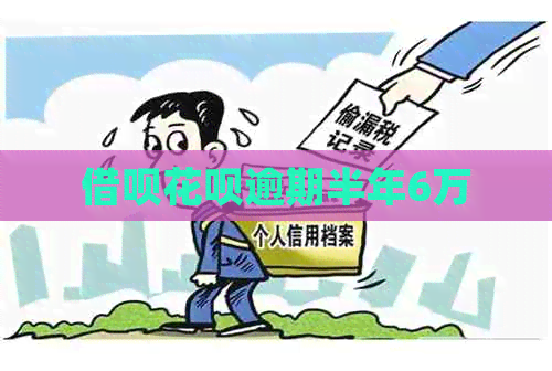 网贷信用卡逾期半年6万