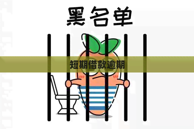 短期借款逾期