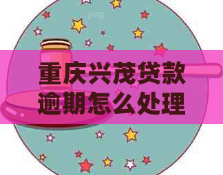 重庆兴茂贷款逾期怎么处理